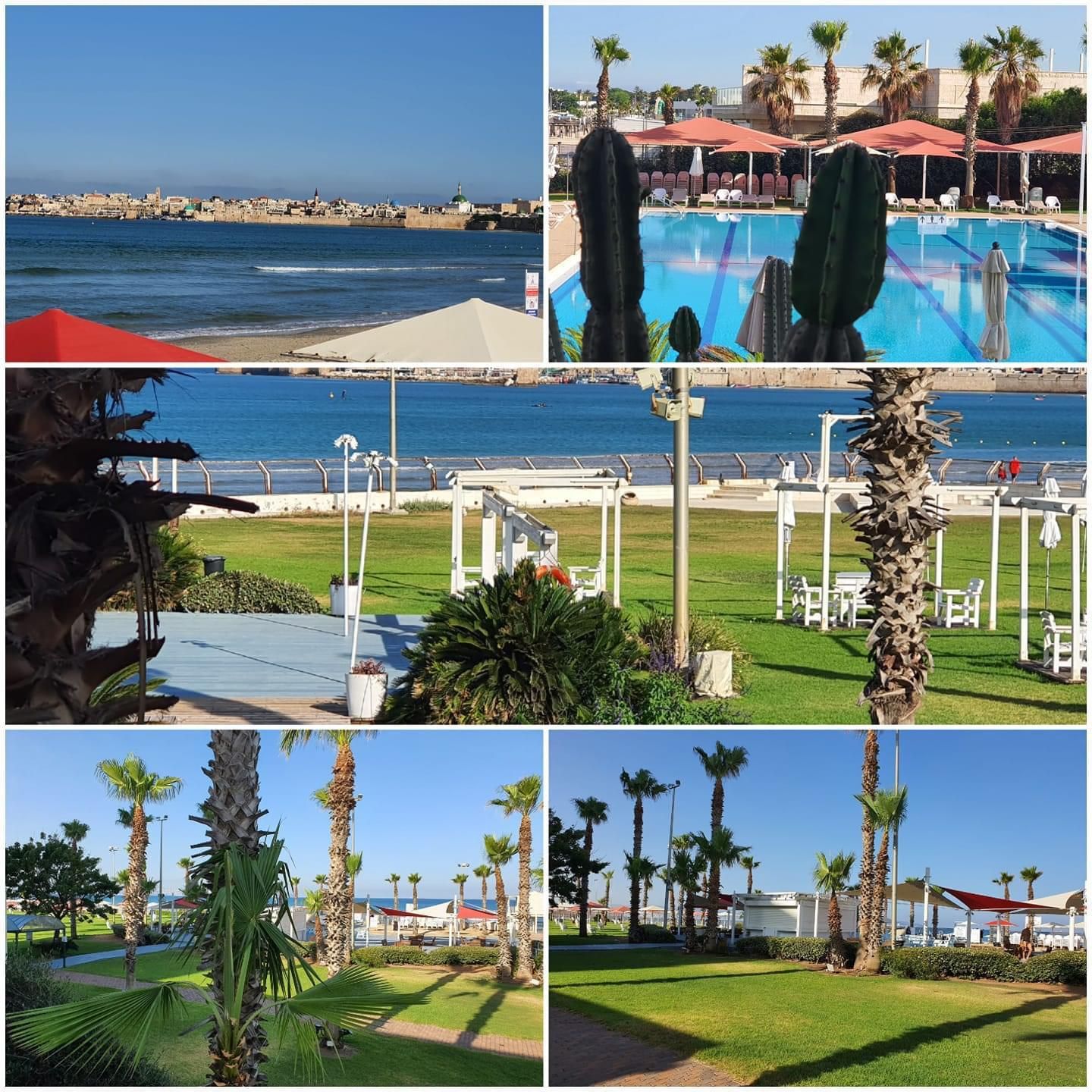 קלאב מאוחד.jpeg